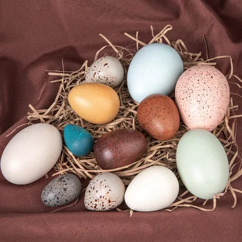 12PCS renk imitasyon ahşap kuş yumurta yosun mikro manzara DIY dekorasyon ev simülasyon oyuncak